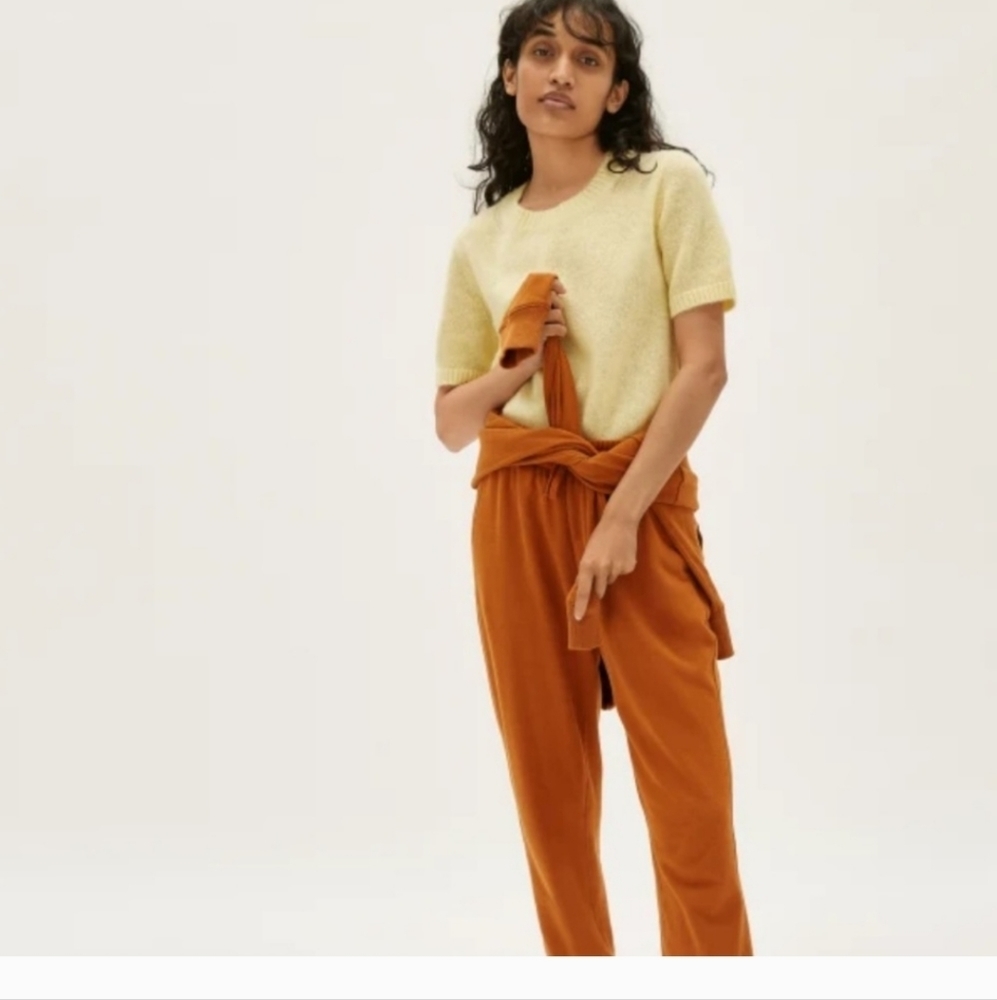Everlane The Alpaca Sweater Short Tee Yellow